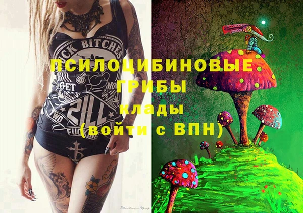 гидра Снежинск