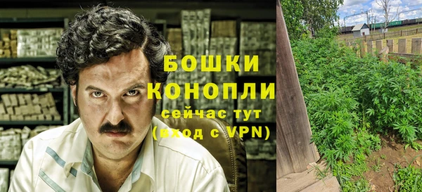 ПСИЛОЦИБИНОВЫЕ ГРИБЫ Лагань