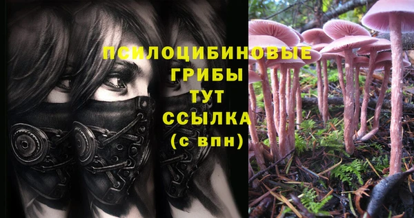 твердый Ладушкин