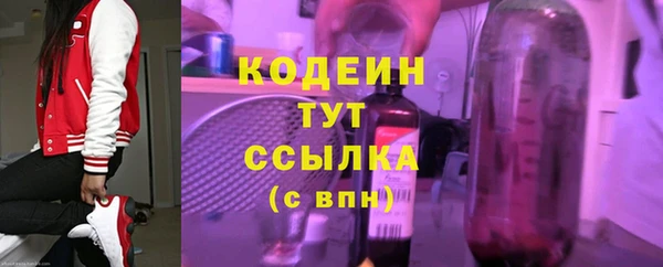 твердый Ладушкин