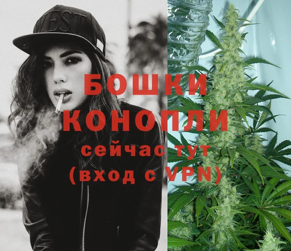 ПСИЛОЦИБИНОВЫЕ ГРИБЫ Лагань