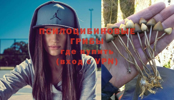 дмт Лабытнанги