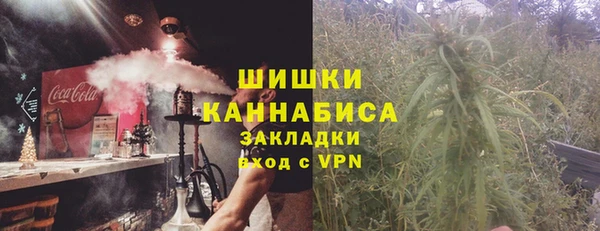 ПСИЛОЦИБИНОВЫЕ ГРИБЫ Лагань