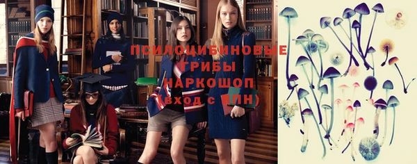 прущие крисы Приозерск