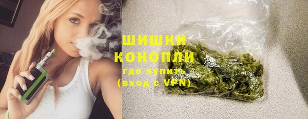твердый Ладушкин