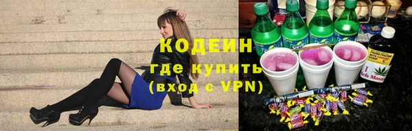 твердый Ладушкин