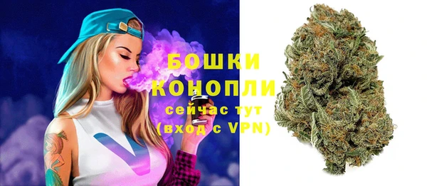 твердый Ладушкин