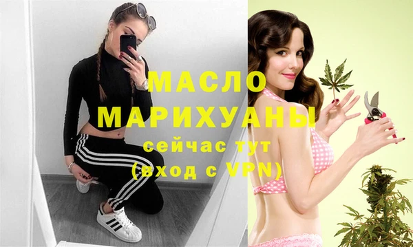 дмт Лабытнанги