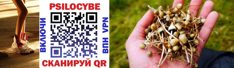 купить наркоту Афипский Галлюциногенные грибы ЛСД